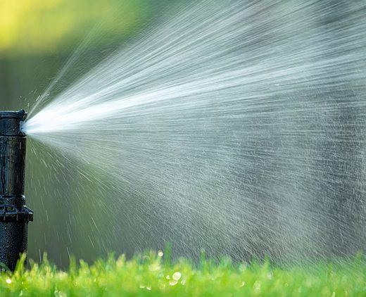 Working sprinkler head watering a green lawn in Killeen, Texas