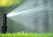 Sprinkler head watering a lawn in Killeen, TX