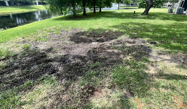 Full Irrigation System Installation with Mini-Excavator &ndash; work in progress