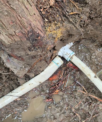 Rebuilding PVC Lines Damaged by Mature Tree Roots