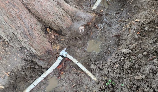 Rebuilding PVC Lines Damaged by Mature Tree Roots &ndash; work in progress