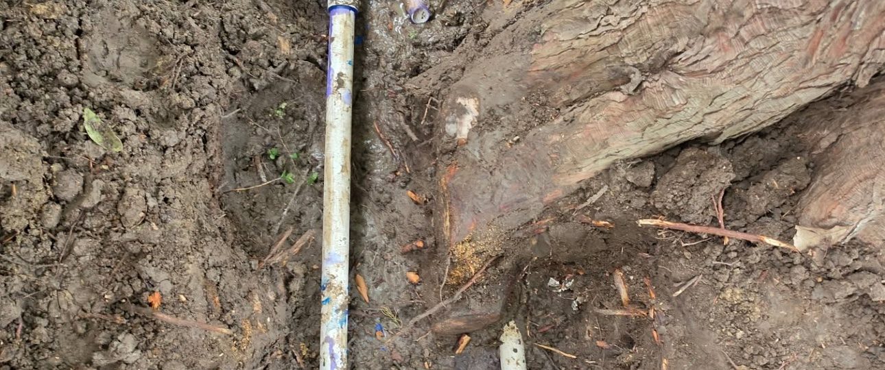 Rebuilding PVC Lines Damaged by Mature Tree Roots