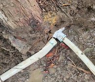 Rebuilding PVC Lines Damaged by Mature Tree Roots