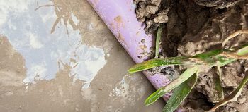 Drip Irrigation Systems in Killeen, TX
