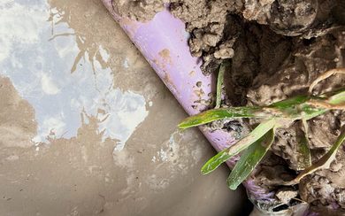 Drip Irrigation Systems in Killeen, TX