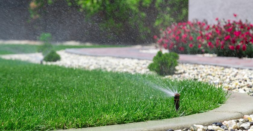 Irrigation System Design & Consultation
