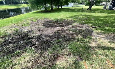 Sprinkler System Installation work in progress